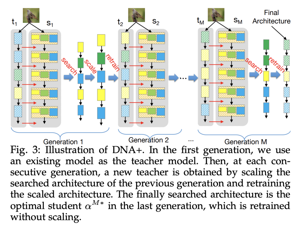 Revolutionizing Neural Network Design: The Emergence and Impact of DNA Models in Neural Architecture Search