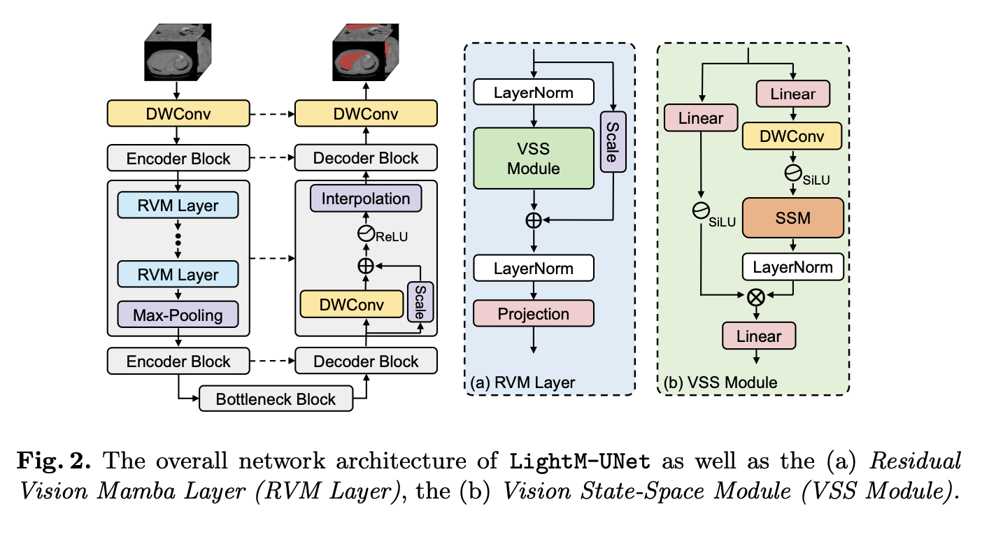 This AI Paper Introduces the Lightweight Mamba UNet (LightM-UNet) that Integrates Mamba and UNet in a Lightweight Framework for Medical Image Segmentation