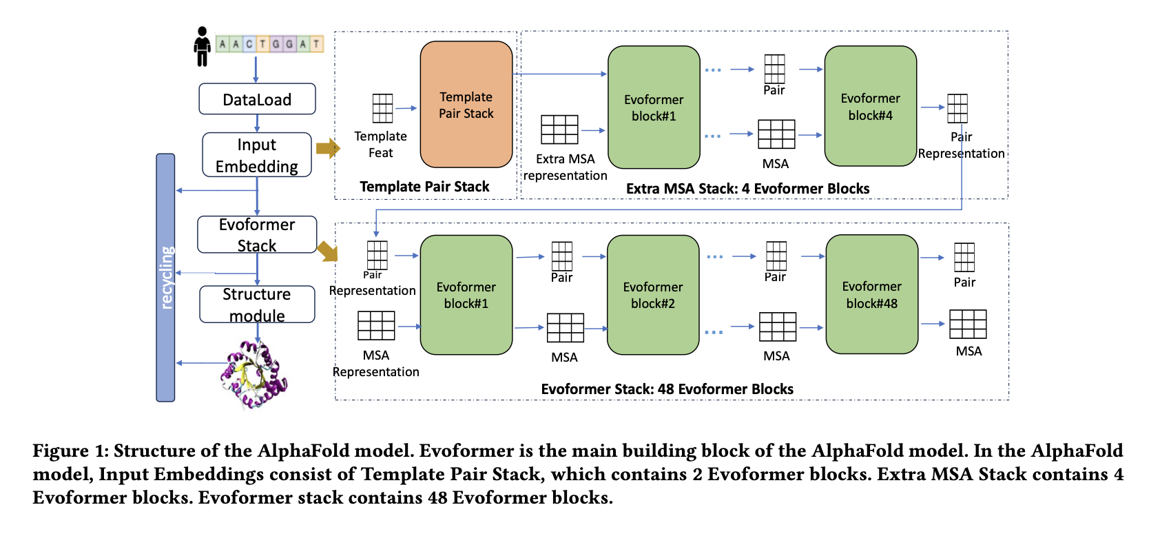 NVIDIA AI Researchers Introduce ScaleFold: A Leap in High-Performance Computing for Protein Structure Prediction