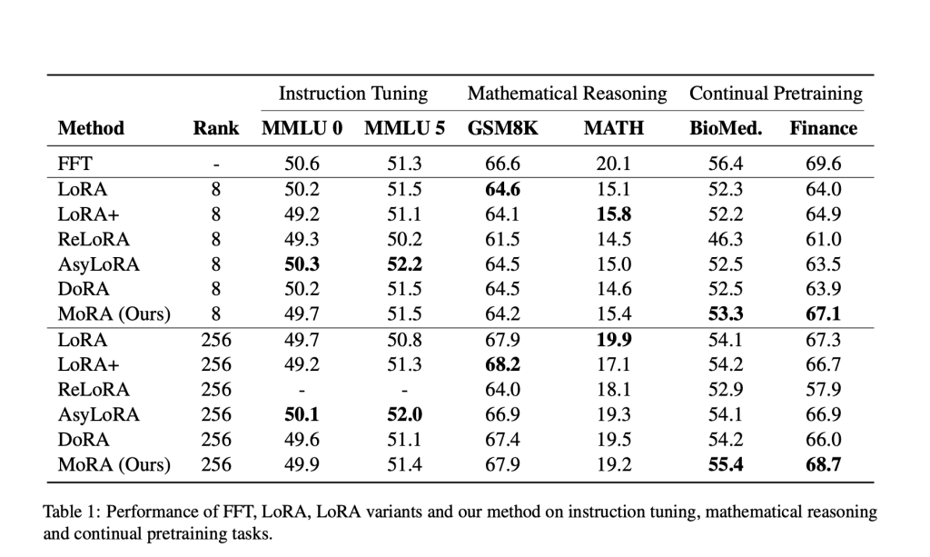 A Paradigm Shift: MoRA's Role in Advancing Parameter-Efficient Fine-Tuning Techniques