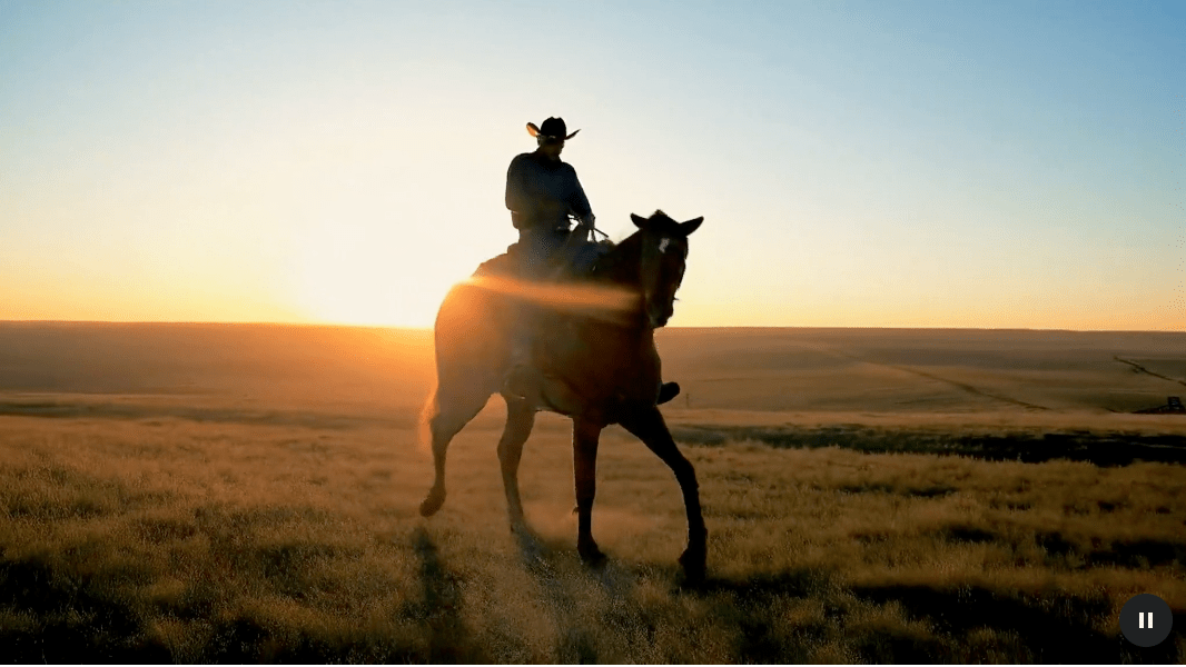 Google takes on Sora with new AI video generator Veo