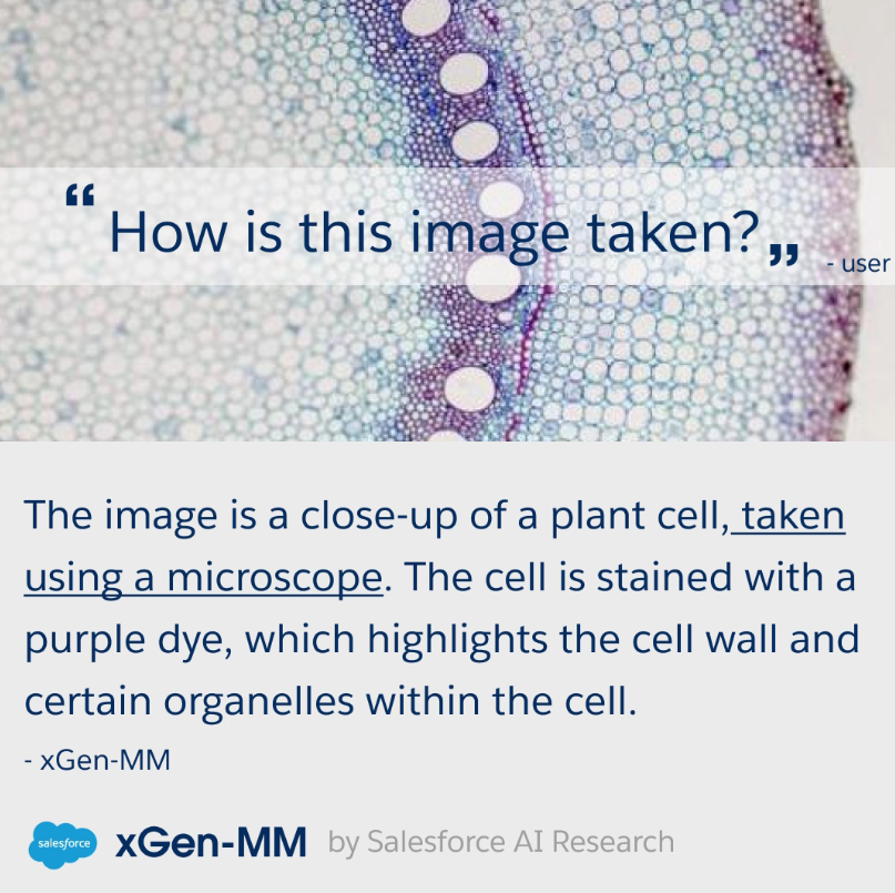 XGen-MM: A Series of Large Multimodal Models (LMMS) Developed by Salesforce Al Research