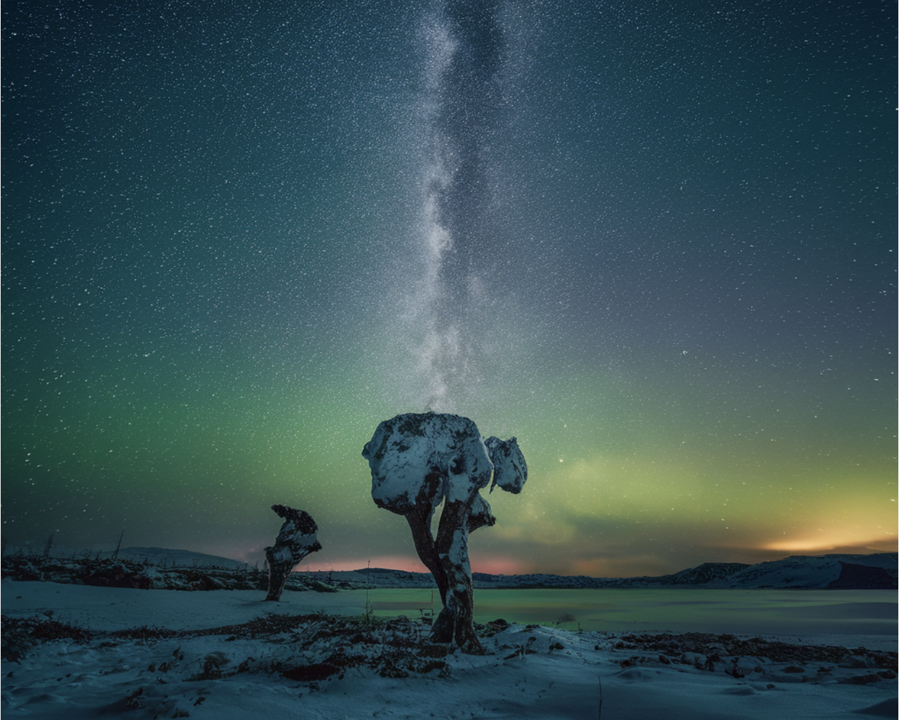 Top Open Source Graph Databases