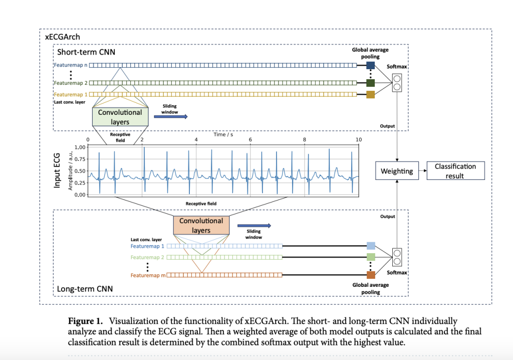 xECGArch: A Multi-Scale Convolutional Neural Network CNN for Accurate and Interpretable Atrial Fibrillation Detection in ECG Analysis
